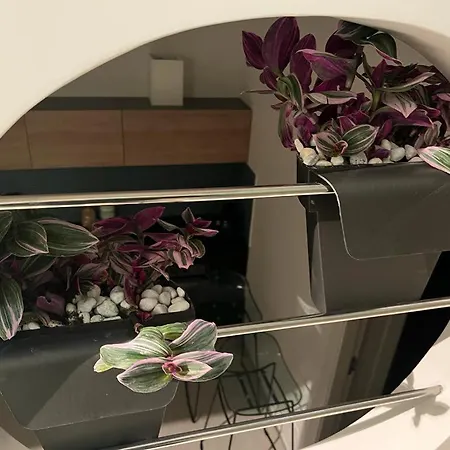 In Centro Confort ألتامورا