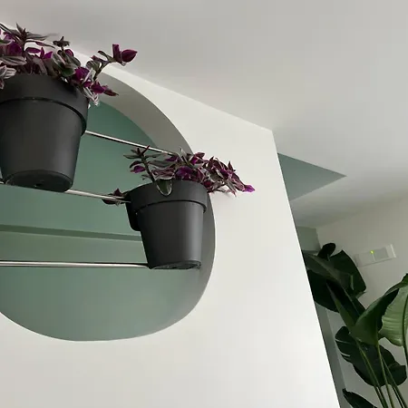 Bed & Breakfast In Centro Confort Altamura
